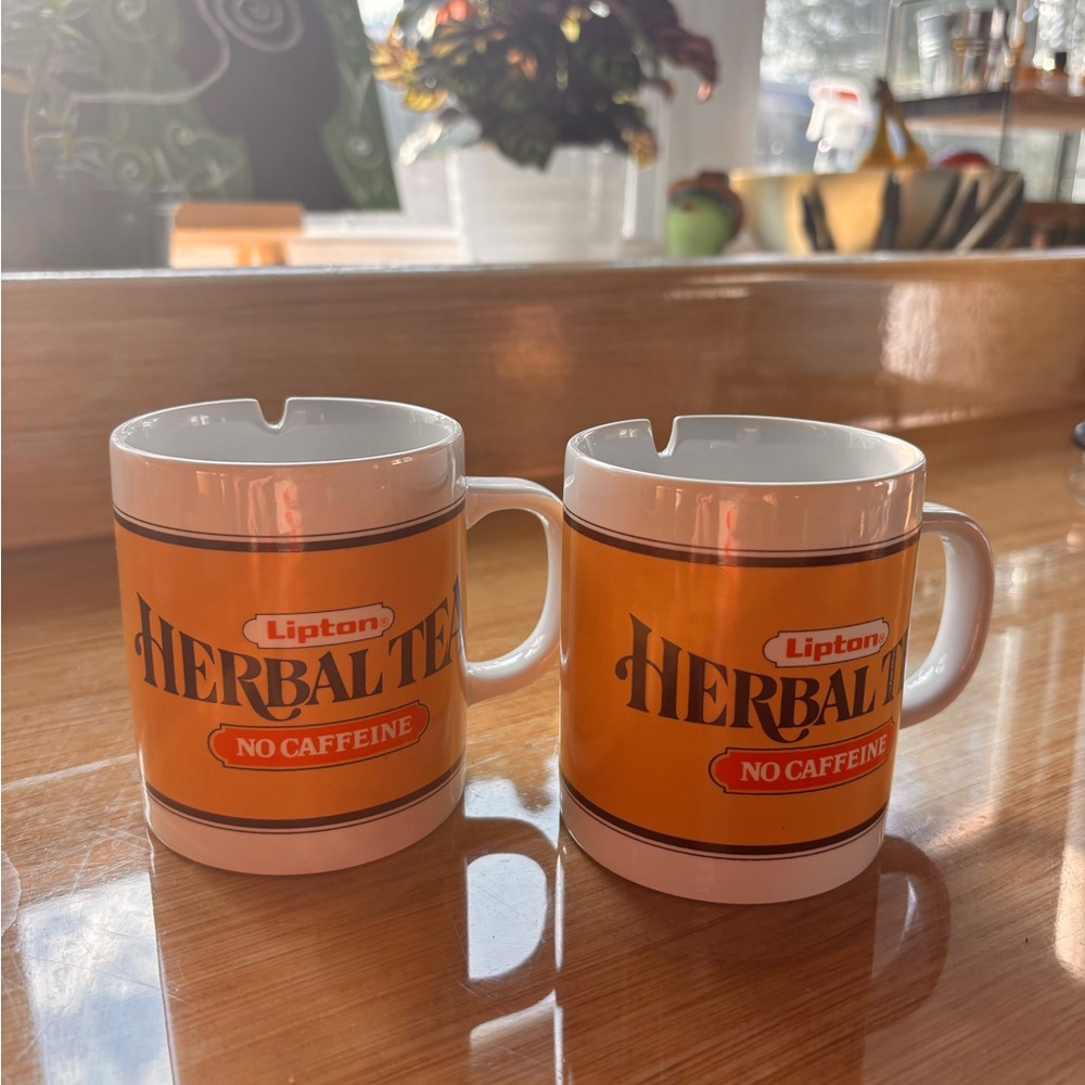 RARE VINTAGE Lipton Herbal Tea Mugs Set of 2